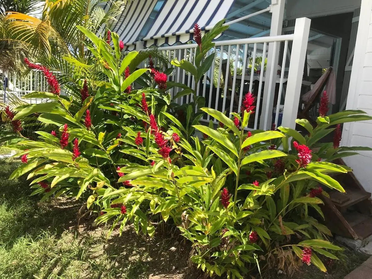 Villa Avec Piscine Proche Mer, Marina Et Golf Saint-Francois  Guadeloupe